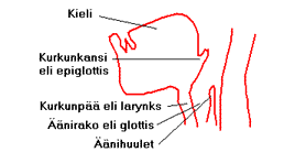 kurkunp1.GIF (7461 bytes)